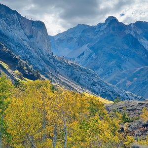 Meet your Posher, P.